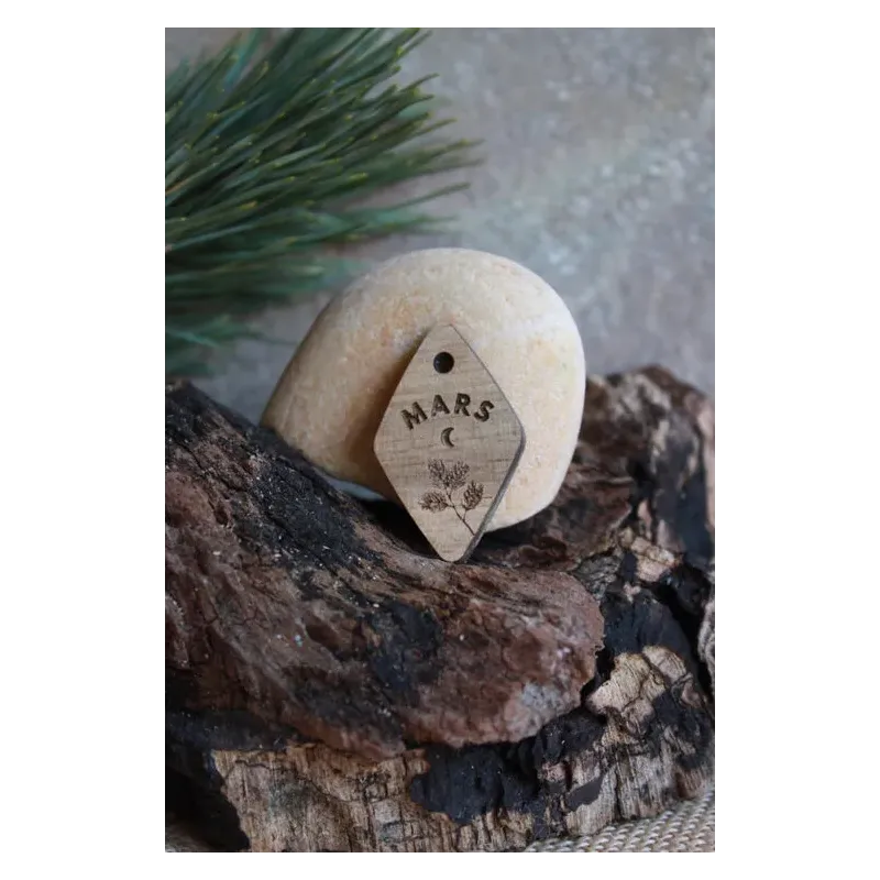 Médaille FORESTA Mars